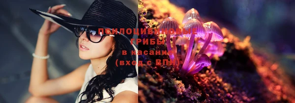 прущие крисы Арсеньев