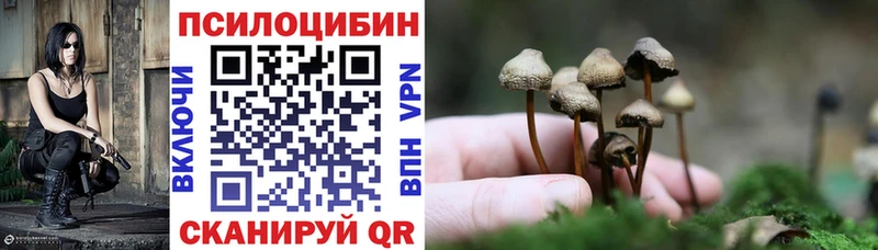 Галлюциногенные грибы Cubensis Ленинск